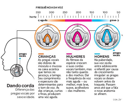 ¿Cuál es la diferencia entre una voz gruesa y una voz fina?