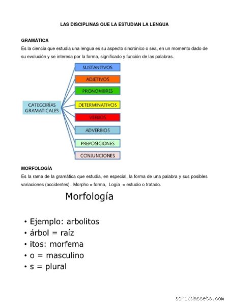 La anatomía del verbo: ¿Cuál es la disciplina que estudia la lengua y por qué nos define como humanos?
