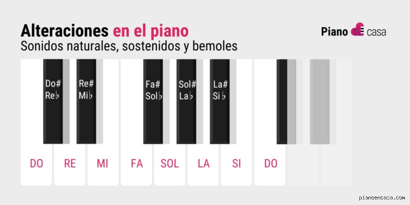¿Cuál es la escala de piano más difícil de tocar? El debate técnico entre la anatomía y el virtuosismo