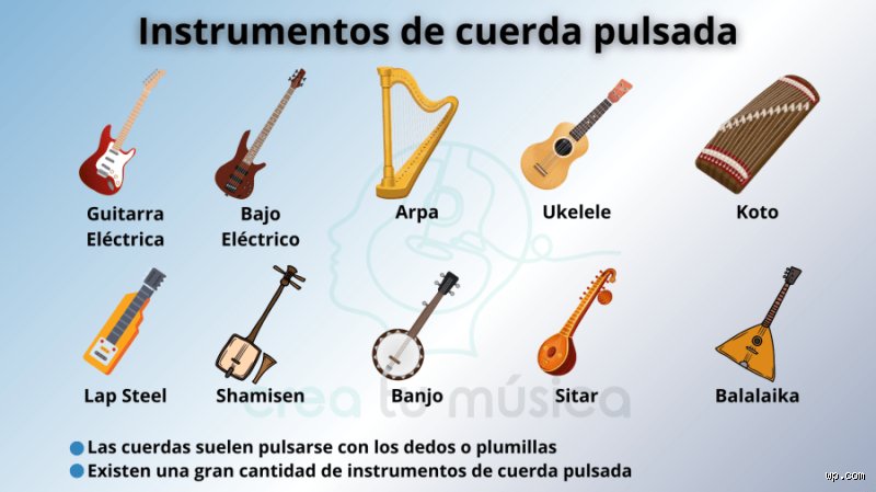 Guia definitiva para entender cuales son 12 instrumentos de cuerda y su fascinante mundo acustico