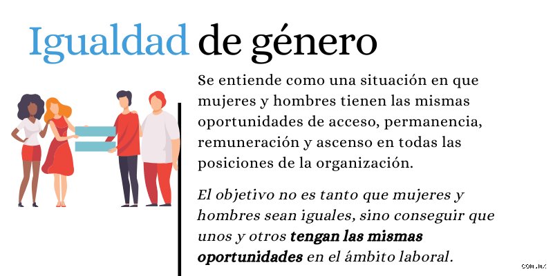 Más allá de las definiciones de diccionario: ¿Cuáles son 3 sinónimos de igualdad que realmente transforman nuestra visión social hoy?