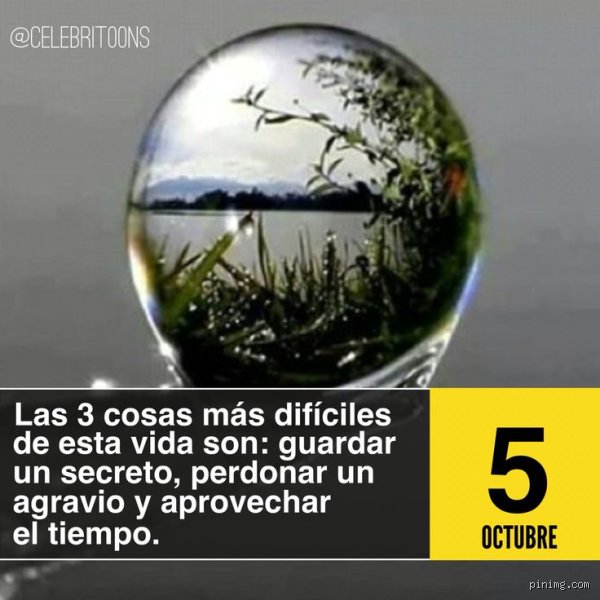 ¿Cuáles son las 3 cosas más difíciles de la vida? Un análisis descarnado sobre la resistencia humana y el caos existencial
