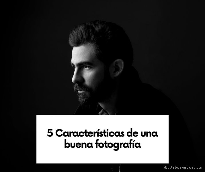 ¿Cuáles son las 5 características de una buena fotografía en la era digital actual?