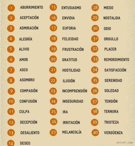¿Cuáles son los 17 sentimientos? Una disección profunda sobre la arquitectura de nuestra experiencia emocional cotidiana