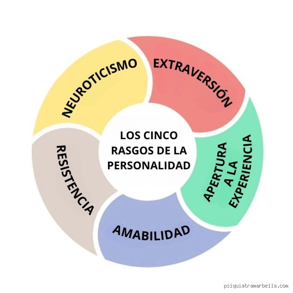 ¿Cuáles son los 5 rasgos de identidad que definen quién eres y por qué la psicología moderna los analiza bajo lupa?