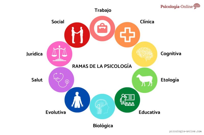 ¿Cuáles son los 7 tipos de psicología? Una radiografía profunda a las ramas que descifran la mente humana