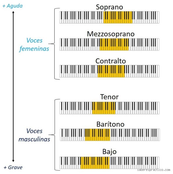 Descubriendo los seis tipos de voz: una guía técnica y humana para entender tu registro vocal