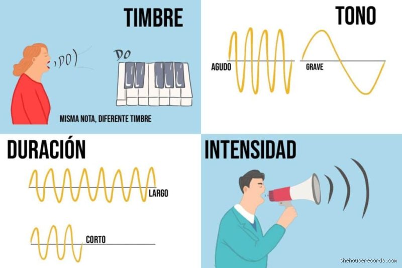 ¿Cuáles son los tipos de tono en el sonido y cómo influyen en nuestra percepción acústica cotidiana?