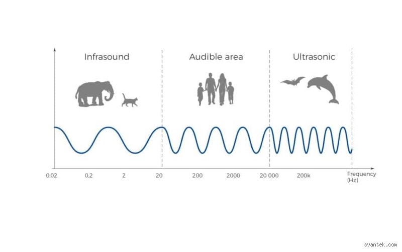 Más allá del silencio: descifrando cuáles son los tres tipos de sonido según su frecuencia y cómo moldean nuestra realidad invisible