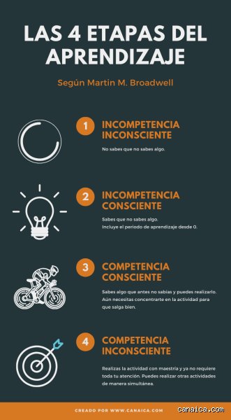 ¿Cuántas etapas de aprendizaje hay? El laberinto cognitivo que recorre nuestra mente desde el caos hasta la maestría