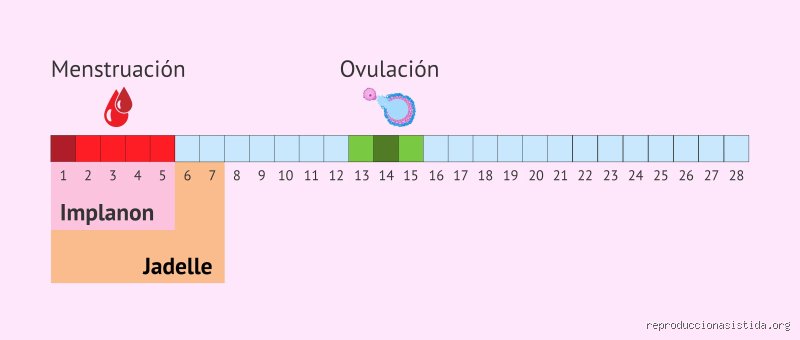 ¿Cuánto tiempo tarda en salir el anticonceptivo del cuerpo? La guía definitiva sobre el fin del ciclo hormonal