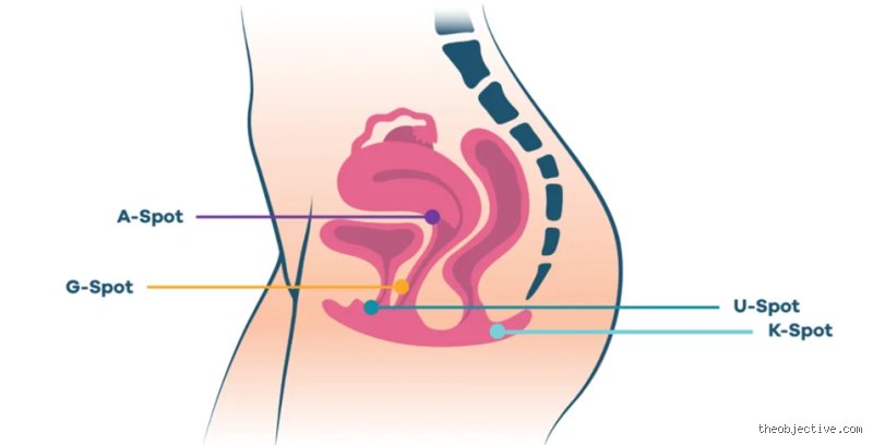 El mapa prohibido del placer femenino: ¿Dónde está el punto dulce de una mujer? y por qué seguimos buscándolo mal