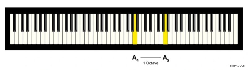¿El nivel 8 de piano es bueno o es simplemente el inicio de un camino mucho más complejo?