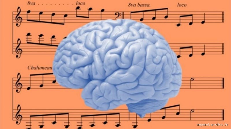 ¿Las personas que escuchan música clásica son más inteligentes o es simplemente un mito cultural muy bien decorado?