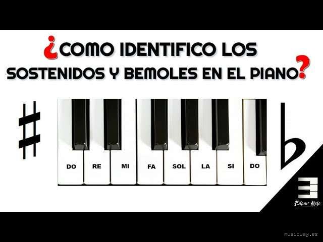 ¿Los pianistas prefieren los bemoles o los sostenidos? Descifrando el eterno dilema visual y cinético del teclado