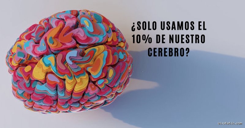 ¿Por qué usamos solo el 10% del cerebro? Desmontando el mayor fraude de la neurociencia moderna