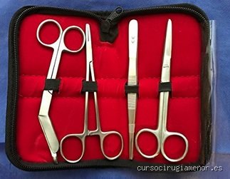 ¿Funcionan realmente los instrumentos de curación o son solo un placebo costoso con estética minimalista?