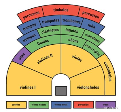 La arquitectura invisible del sonido: ¿Cómo se dividen los instrumentos en una orquesta? y el orden tras el caos