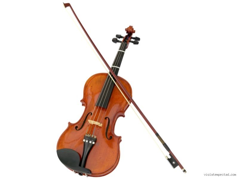¿Cuál es el instrumento musical más difícil de tocar? La verdad técnica detrás de los desafíos acústicos