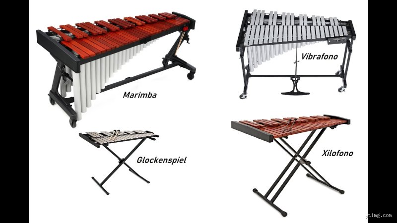 Xilófono vs Vibráfono: ¿Cuál es la diferencia real entre estos colosos de la percusión de láminas?