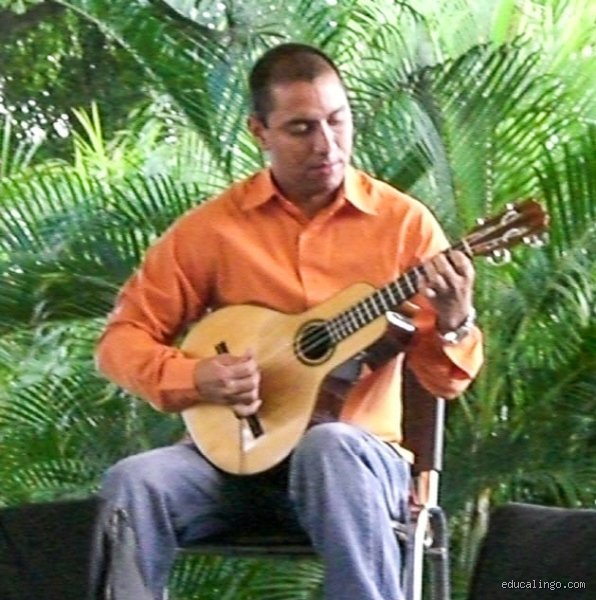 ¿Cuál es un sinónimo de bandola para entender la riqueza de la música tradicional?