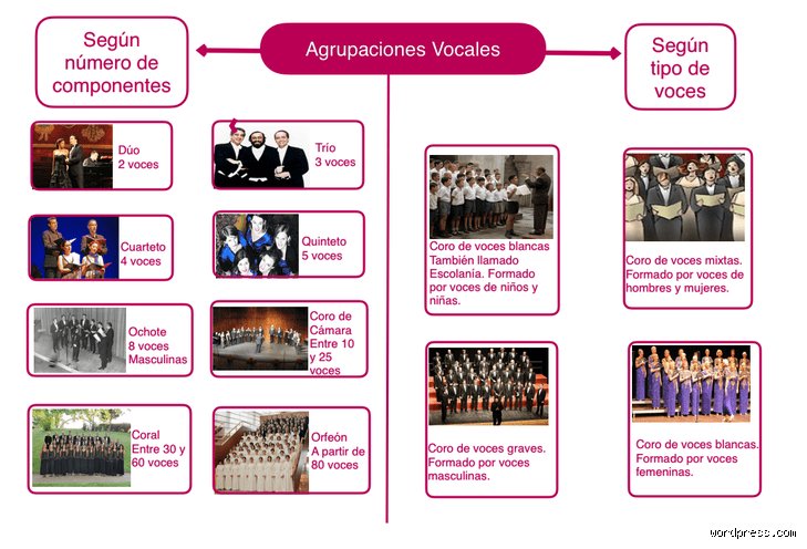 Guía definitiva sobre cuáles son los 4 grupos vocales y por qué tu clasificación técnica actual podría estar totalmente equivocada