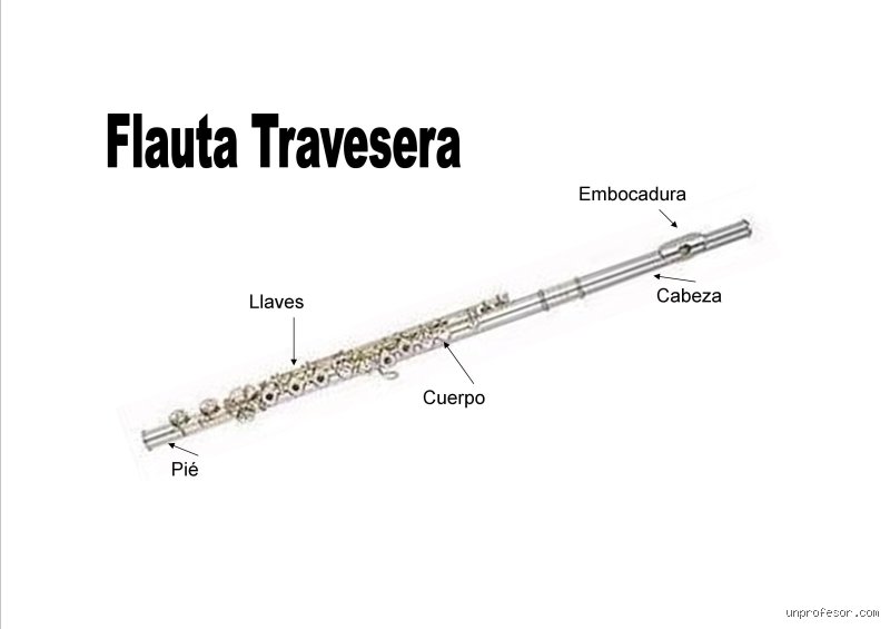 ¿Cuántos orificios tiene la flauta traversa? Desmontando el enigma técnico del instrumento de metal más dulce