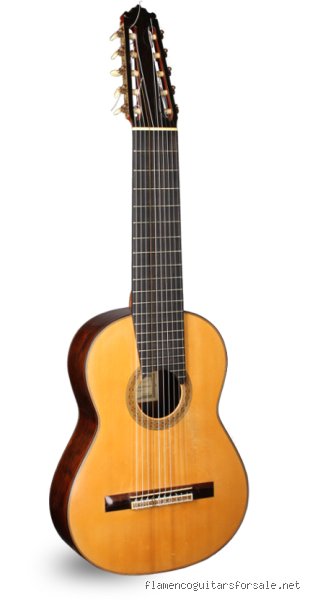 Guía definitiva sobre qué es una guitarra con 10 cuerdas cómo se llama exactamente en el mundo musical