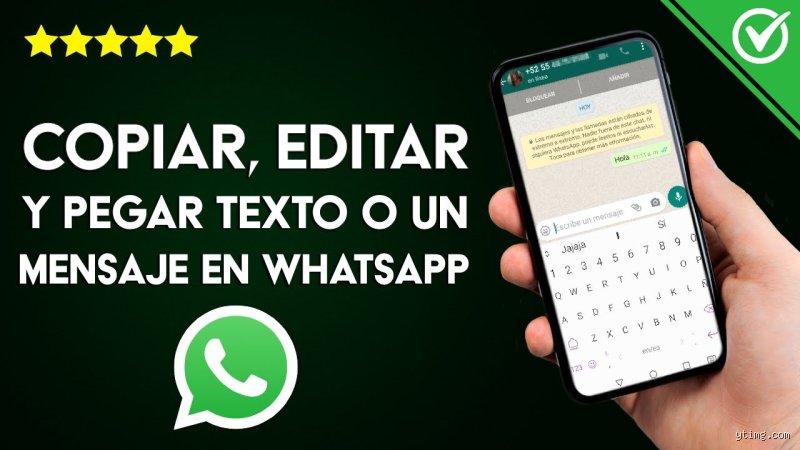 Guía definitiva para dominar el arte de cómo puedo copiar y pegar una conversación de WhatsApp sin perder la cordura en el intento