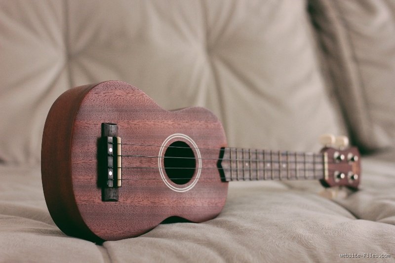 ¿Cuál es el instrumento musical más fácil para aprender a tocar? La guía definitiva para principiantes impacientes