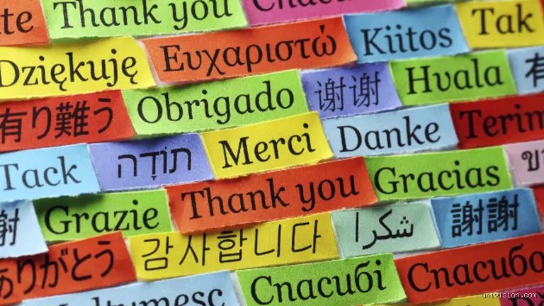 ¿Cuántos idiomas se necesitan para ser un hiperpolíglota y por qué la cifra mágica suele ser un espejismo lingüístico?