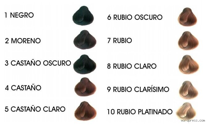 ¿Qué diferencia hay entre tinte 5 y 6? Guía completa de tonos y matices