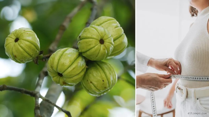 ¿Cómo se llama la fruta que corrige el colesterol? Descubre el poder de la bergamota y otros aliados cítricos