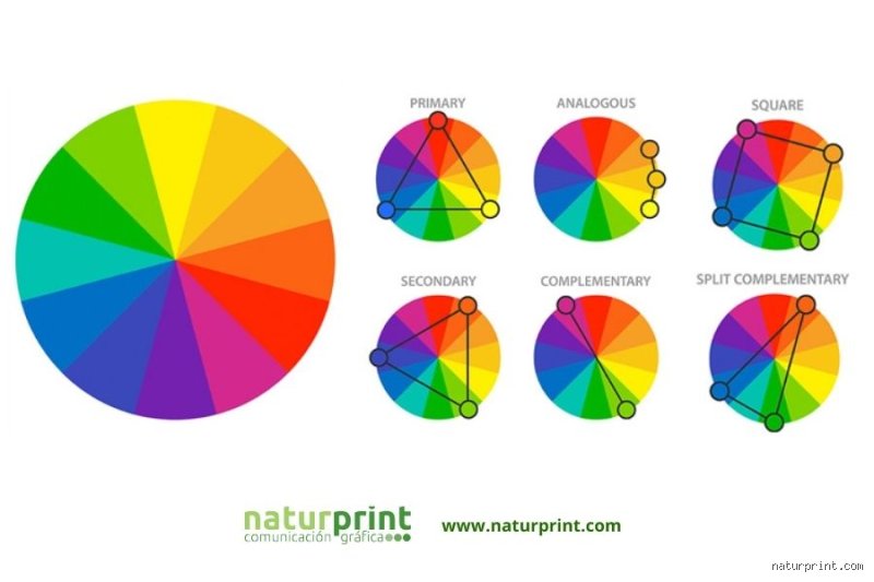 ¿Cómo se ordenan los 12 colores? La guía definitiva para dominar el círculo cromático y la armonía visual