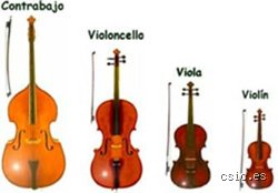 ¿Cuál es el instrumento de cuerda más grave? Desmontando mitos desde el contrabajo hasta los gigantes experimentales