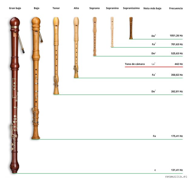 ¿Cuáles son los tres tipos de flautas que todo músico debería conocer?