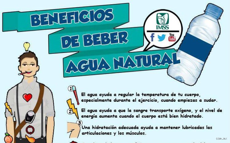 ¿Beber agua es bueno para la arritmia? La ciencia real tras el impacto de la hidratación en el ritmo cardiaco