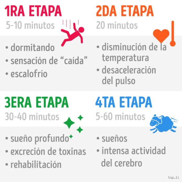 Cómo conseguir un sueño profundo en 5 minutos: la guía definitiva para hackear tu descanso nocturno sin perder los nervios
