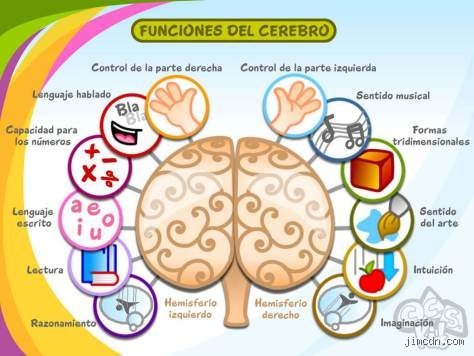 Cómo estimular el lóbulo frontal del cerebro para alcanzar un rendimiento cognitivo de élite y blindar tu toma de decisiones