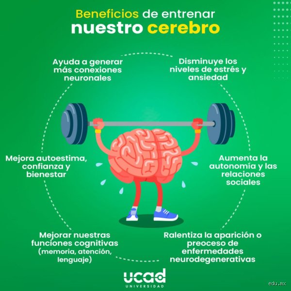 ¿Cómo puedo ejercitar mi cerebro a diario para alcanzar un rendimiento cognitivo superior y evitar el declive mental?