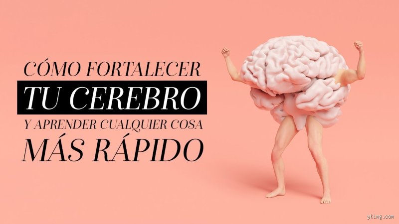 Cómo recargar tu cerebro de forma efectiva para recuperar la agudeza mental en un mundo hiperconectado