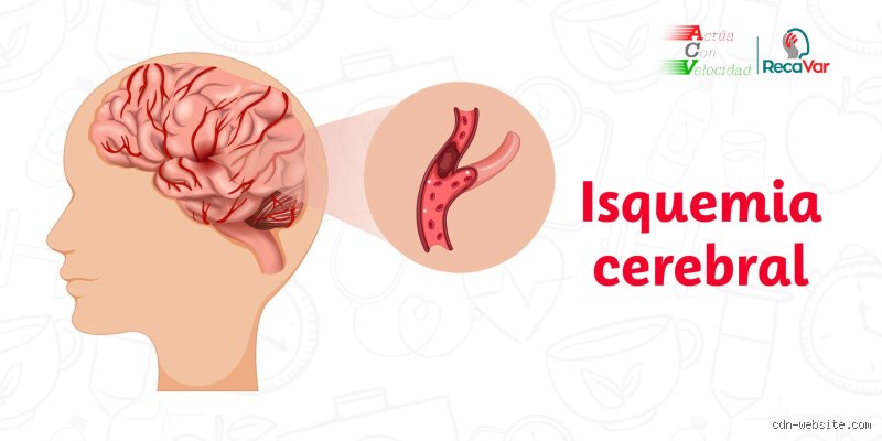 ¿Cómo saber si tengo baja actividad cerebral? Señales reales, mitos científicos y el mapa de tu rendimiento cognitivo actual