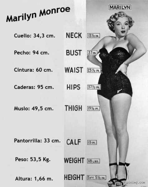 ¿Cuál era la talla de sujetador de Marilyn Monroe? La verdad técnica tras el mito del reloj de arena