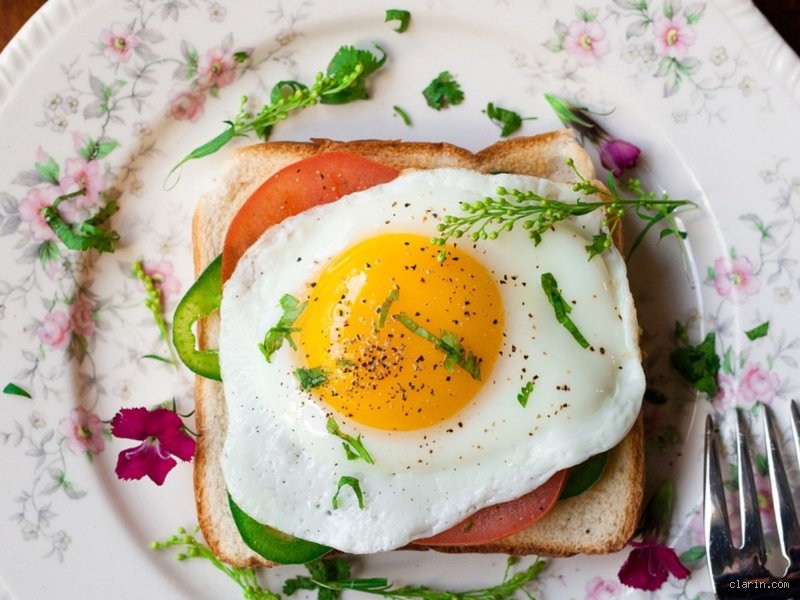 ¿Cuál es el mejor desayuno para el cerebro? Descubre la ciencia de la energía mental matutina