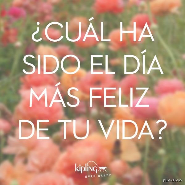 La búsqueda de la plenitud absoluta: ¿Cuál ha sido el día más feliz de tu vida? y por qué la ciencia desmiente tus recuerdos
