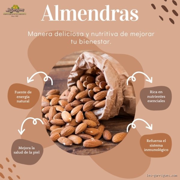 ¿Realmente son tan poderosas? Descubre cuáles son 10 beneficios de la almendra para la salud que transformarán tu nutrición