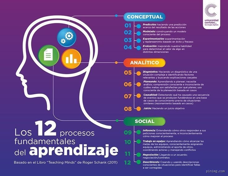 Dominando la mente: Descubre cuáles son las 4 leyes del aprendizaje que transforman radicalmente cómo absorbemos información hoy