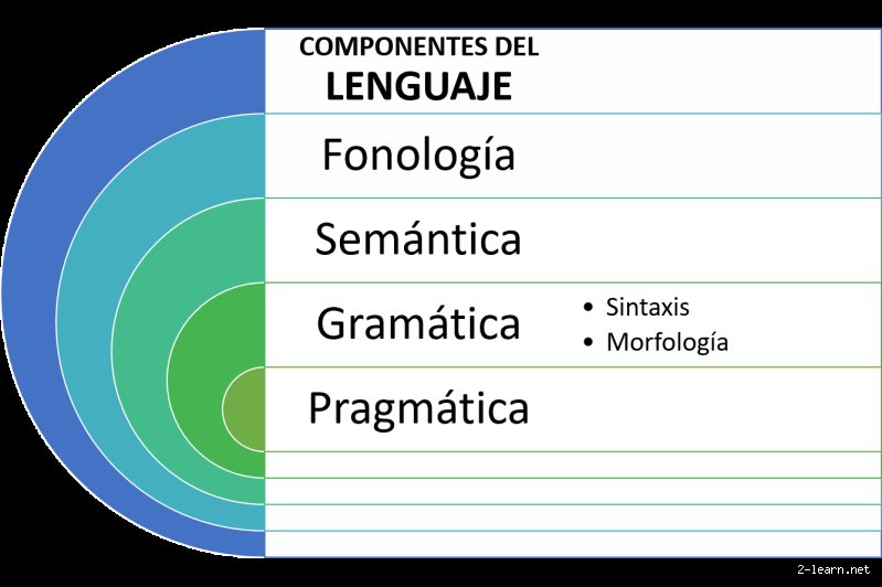¿Cuáles son las 4 partes del lenguaje y por qué ignoramos que el cerebro no es un diccionario?