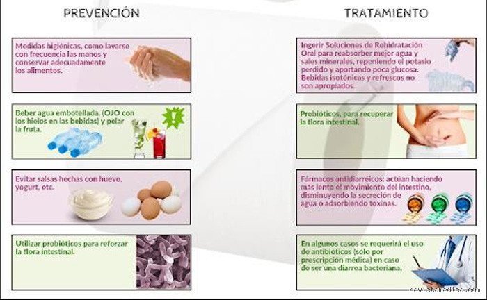Guía profesional sobre cuáles son las pautas de tratamiento para la diarrea y cómo abordar el desequilibrio intestinal
