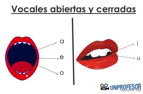 ¿Cuáles son los 4 elementos vocales? Guía magistral para dominar la comunicación y el impacto sonoro